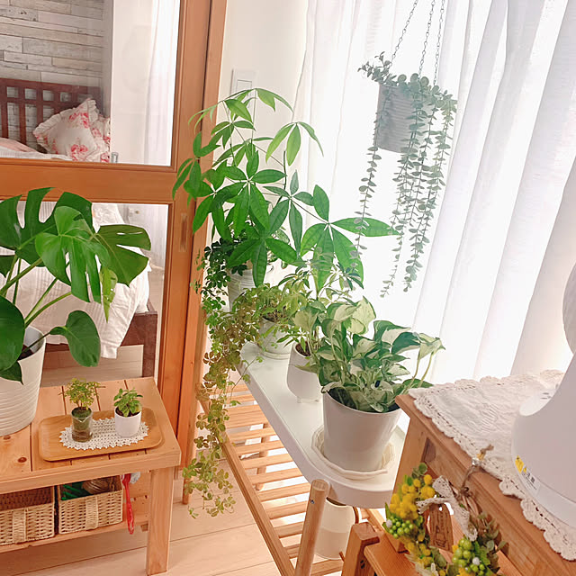 pappaさんの部屋
