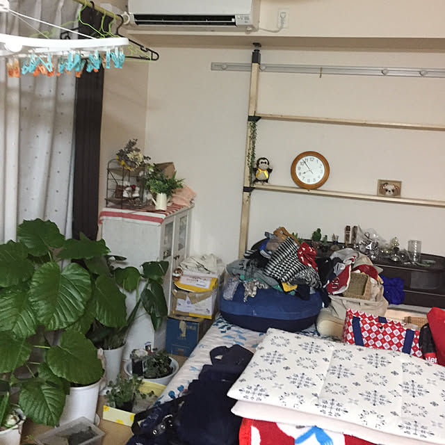emiさんの実例写真