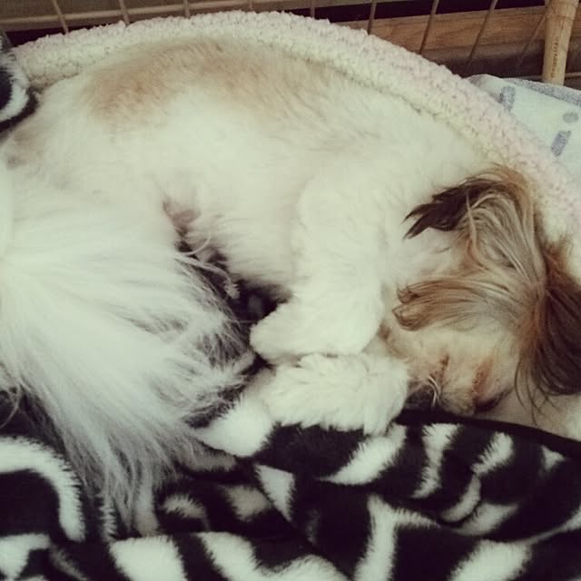 Reiさんの実例写真