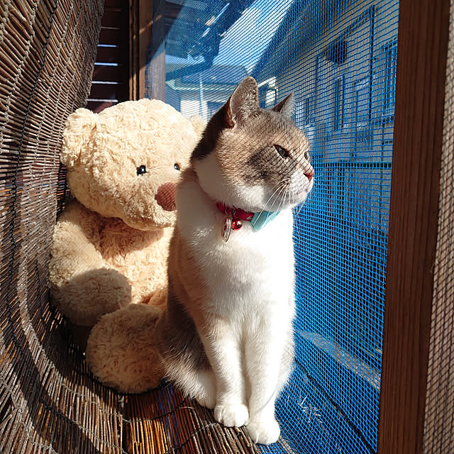 fukuさんの実例写真