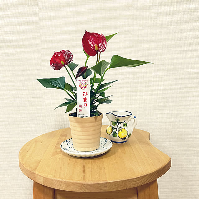 yoyoyoさんの実例写真