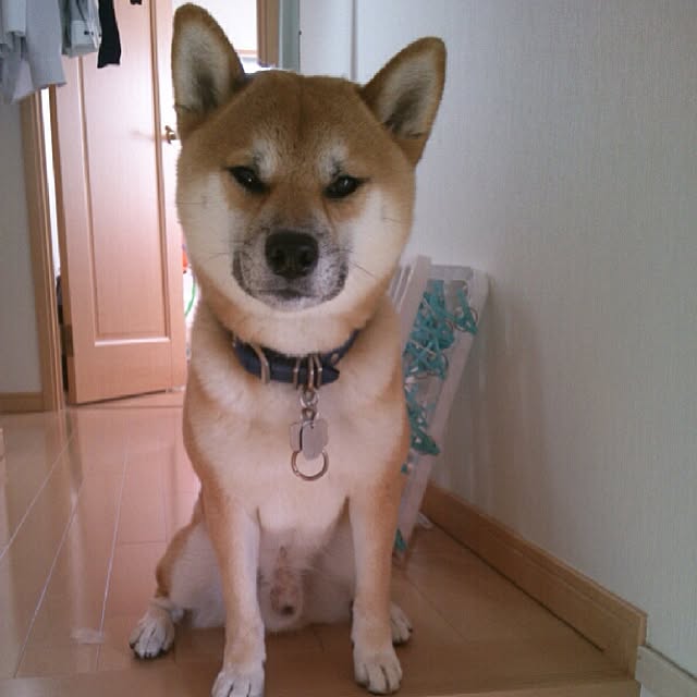 kotaさんの実例写真