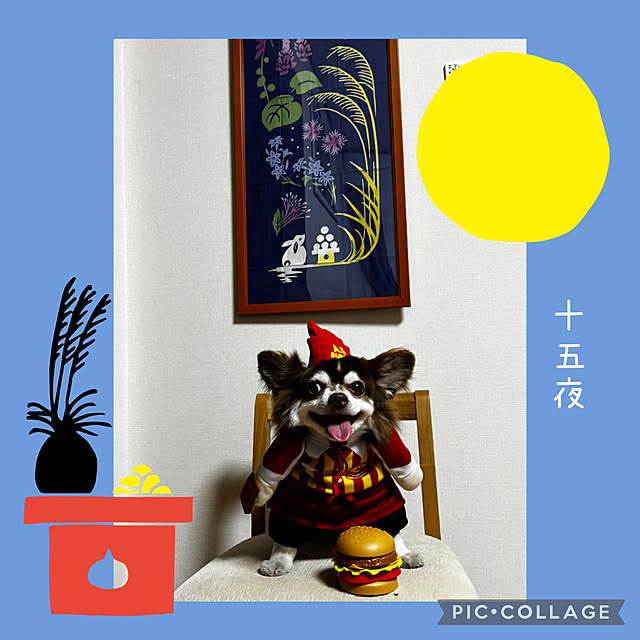 chIoeさんの実例写真