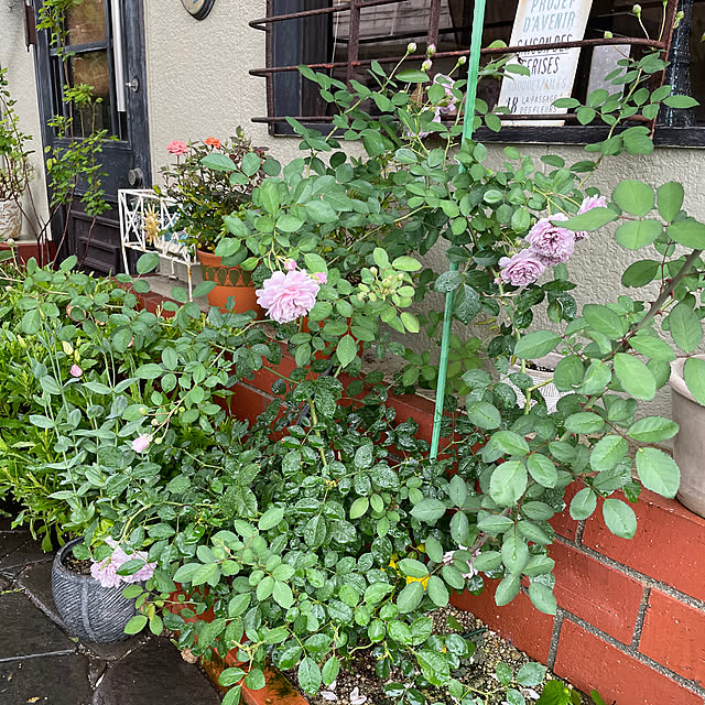 shin0719さんの部屋
