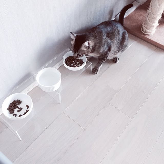 Reikoさんの実例写真