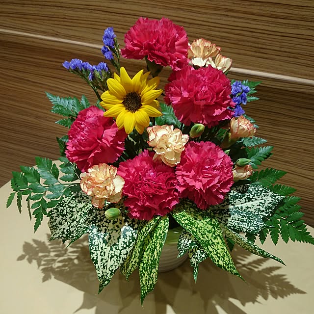 玄関/入り口のインテリア実例 - 2016-10-11 19:33:28