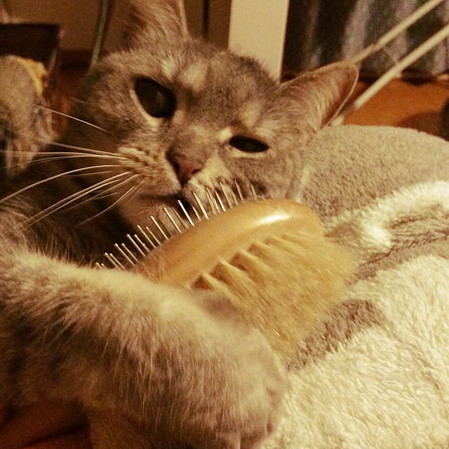mayraionさんの実例写真