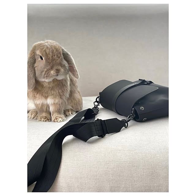 chiiiii0808さんの実例写真