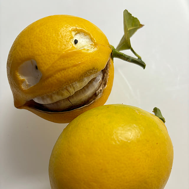 syutmmさんの実例写真