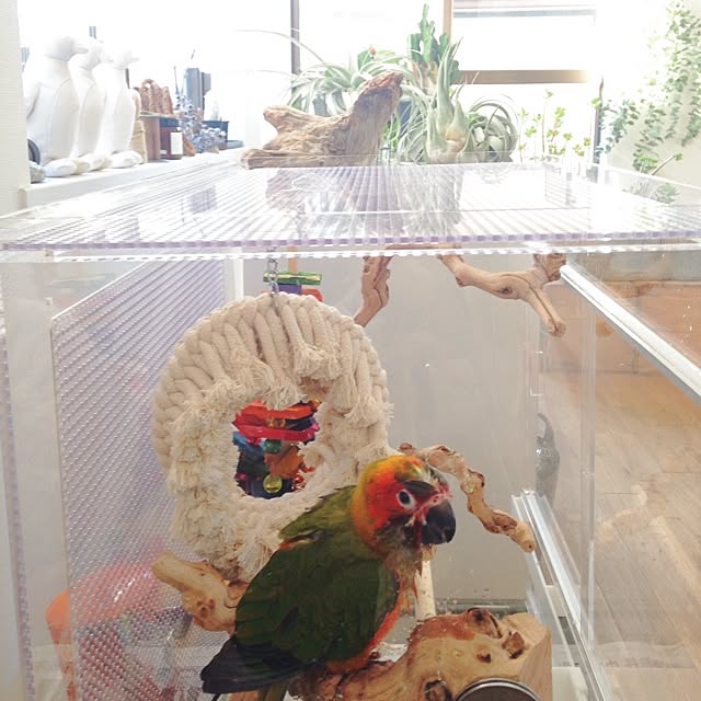 Atsushiさんの実例写真