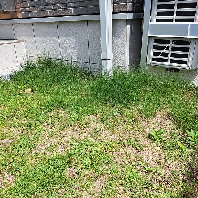 rinaさんの部屋