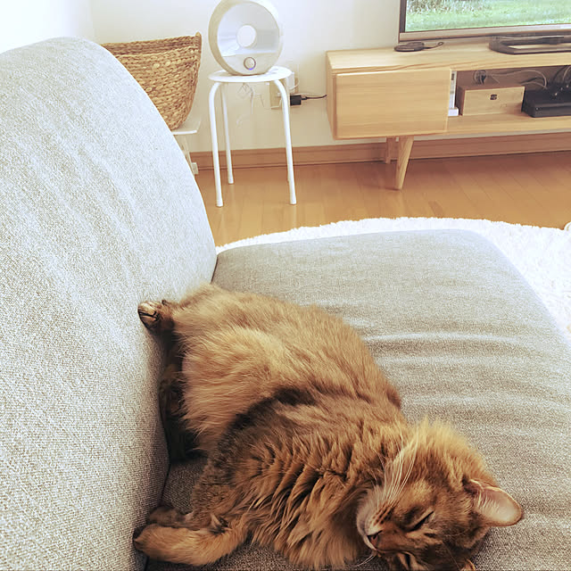 Yumiさんの実例写真