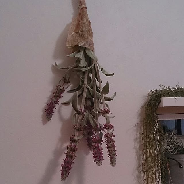 sheenacocoさんの実例写真