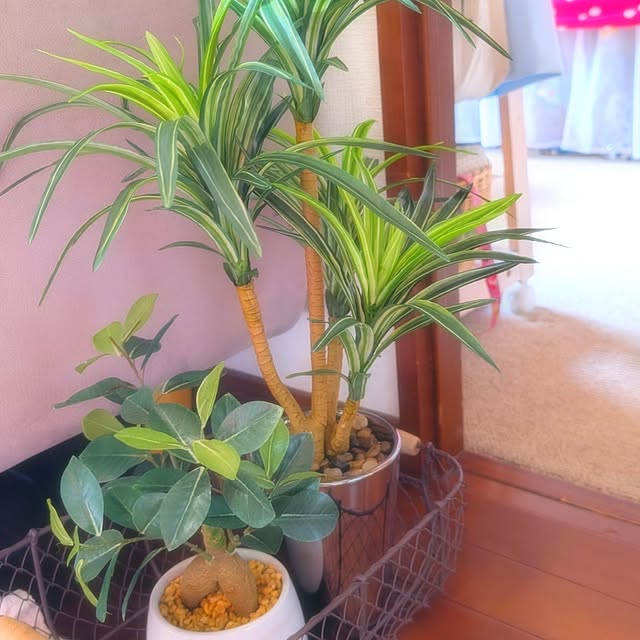 harumoeさんの実例写真