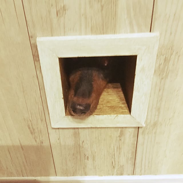 kikiさんの実例写真