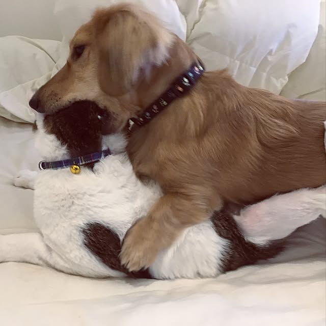 mariaさんの実例写真