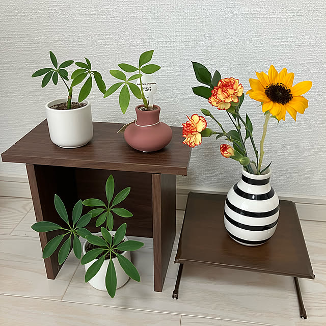 hirorinrinさんの実例写真