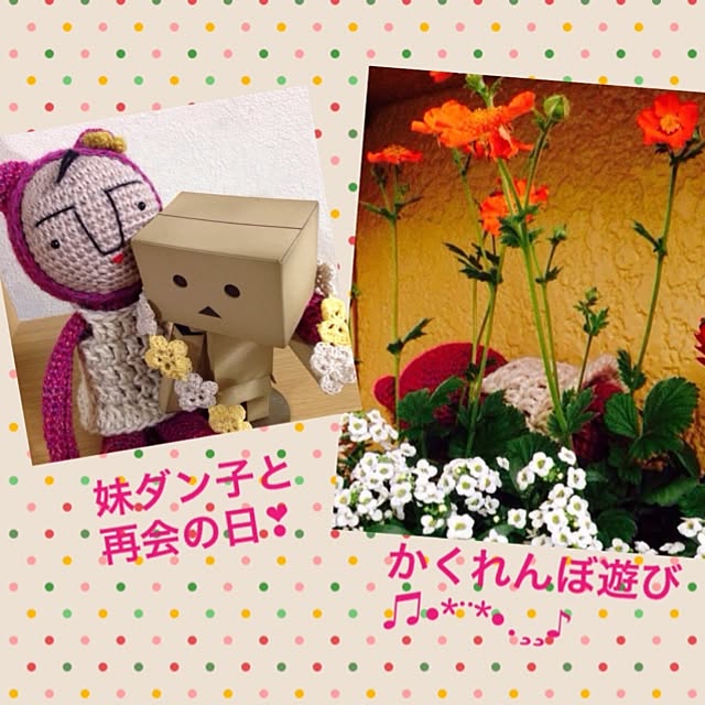 ponさんの実例写真