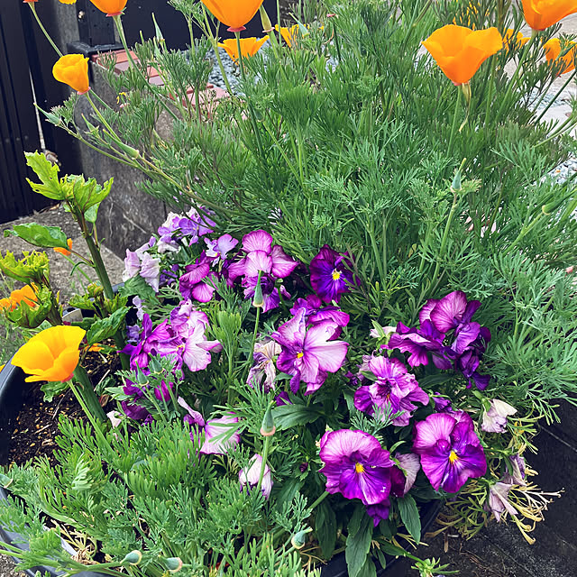 flowerさんの部屋