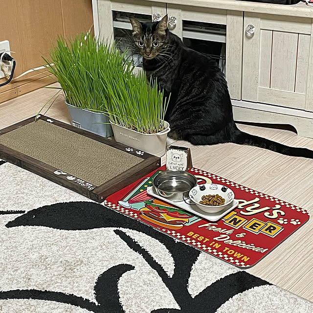 momocchiさんの実例写真