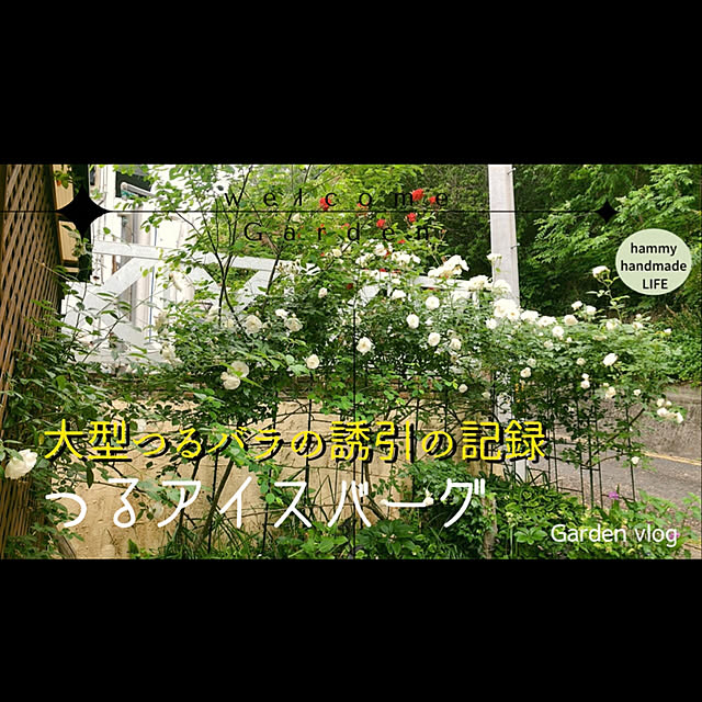 jewel-ynmさんの実例写真
