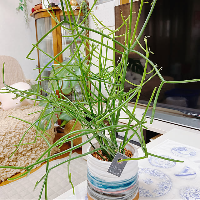 tamtanさんの実例写真