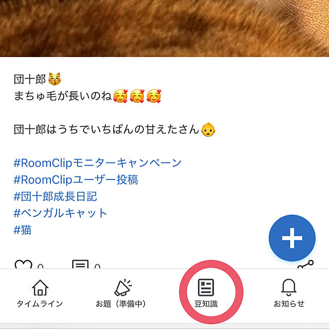 nene6さんの実例写真