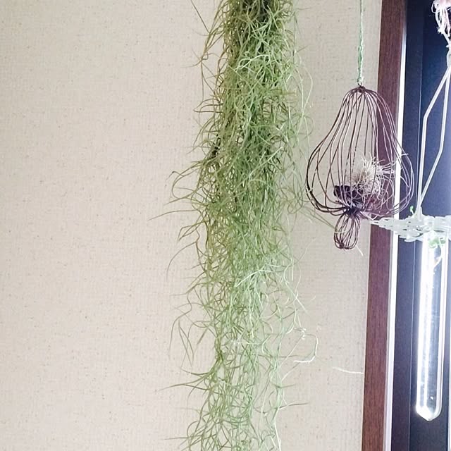 koyoriさんの実例写真