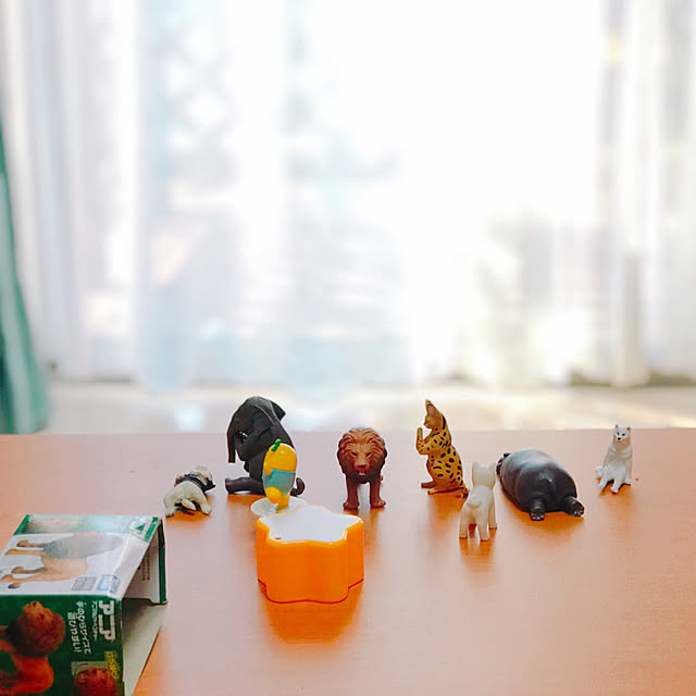 aminamiさんの実例写真