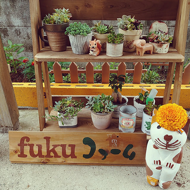 fukuさんの実例写真