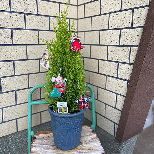 icietlaさんの実例写真