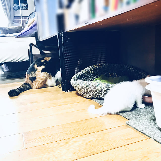 maroさんの実例写真