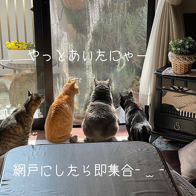 chikaさんの実例写真