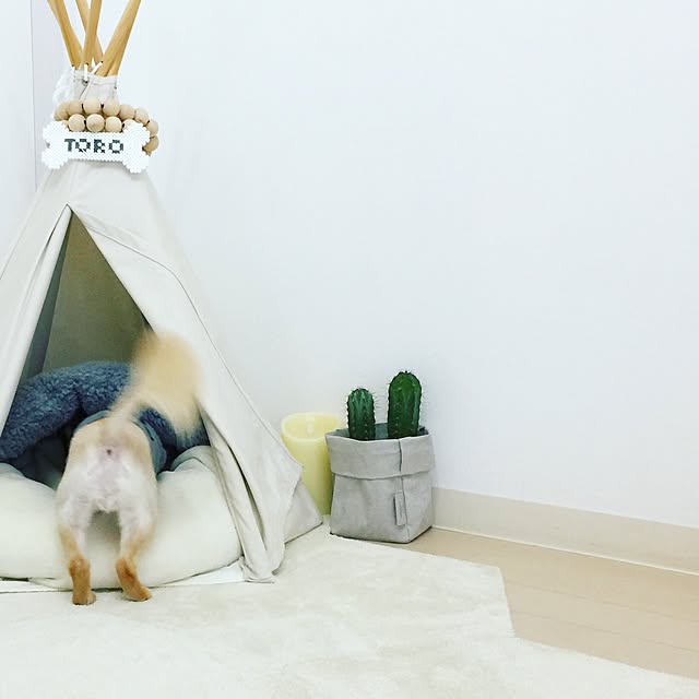 haruhinaさんの実例写真