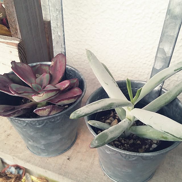 VERANDARJUNさんの実例写真