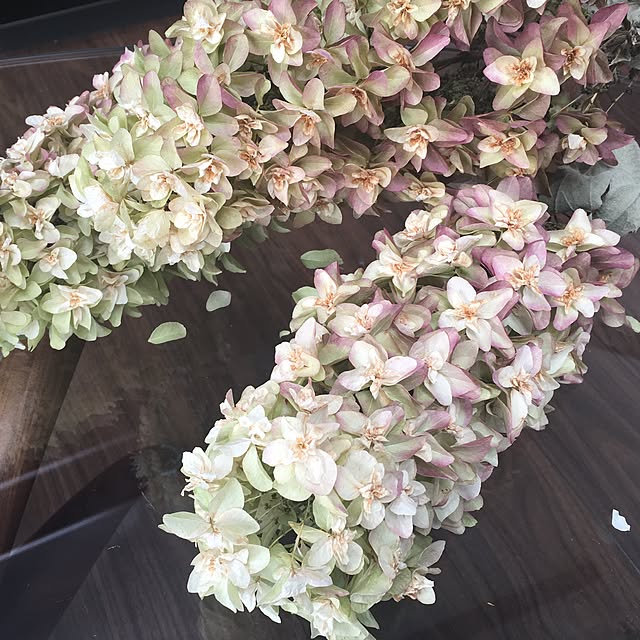 nomnom888さんの実例写真