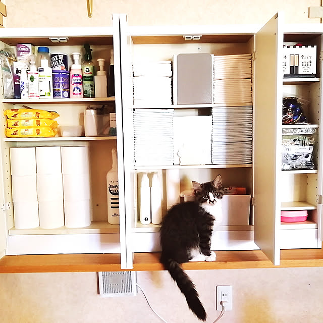 kikufujiさんの実例写真