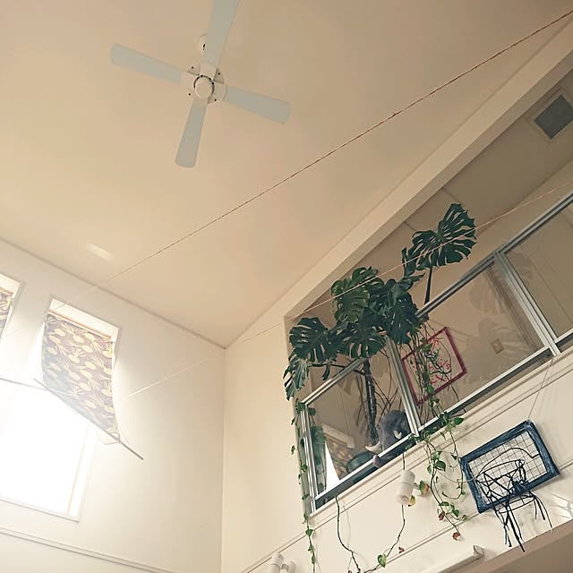 urchinさんの部屋