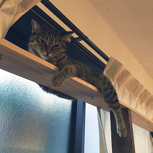 Mさんの実例写真