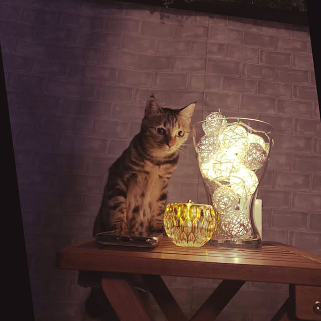 necomuraさんの実例写真