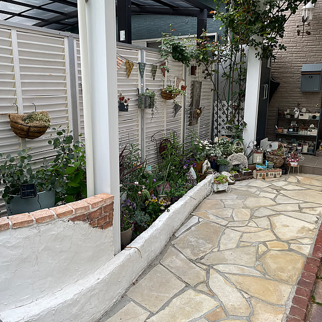 yoko_petitbonheurさんの部屋