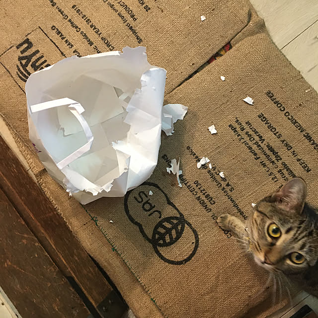 Mさんの実例写真