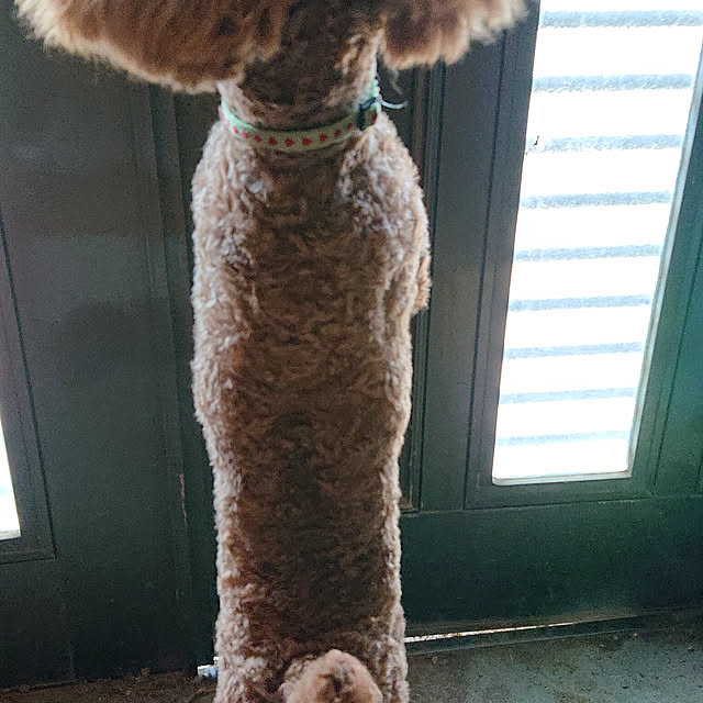 r7さんの実例写真