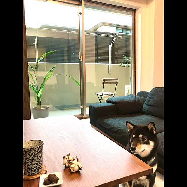 makiさんの実例写真