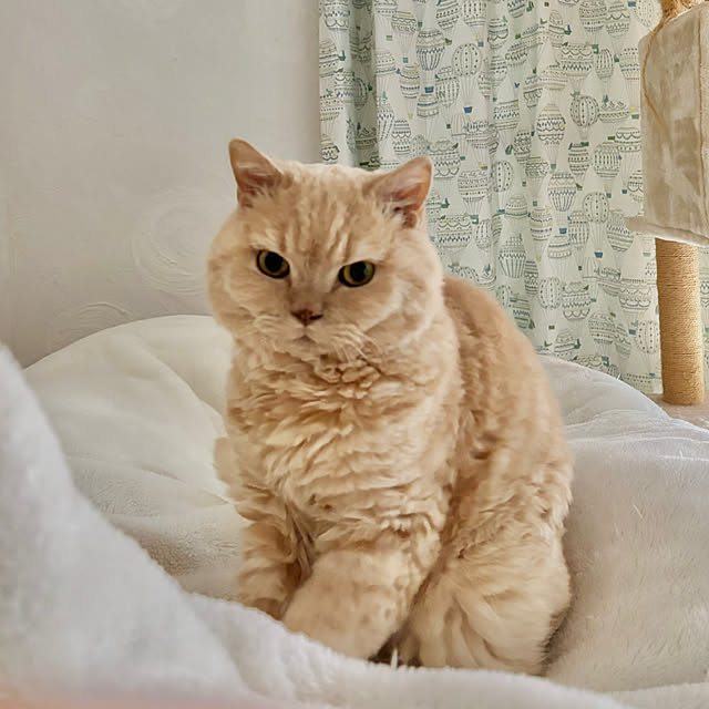 naokoさんの部屋