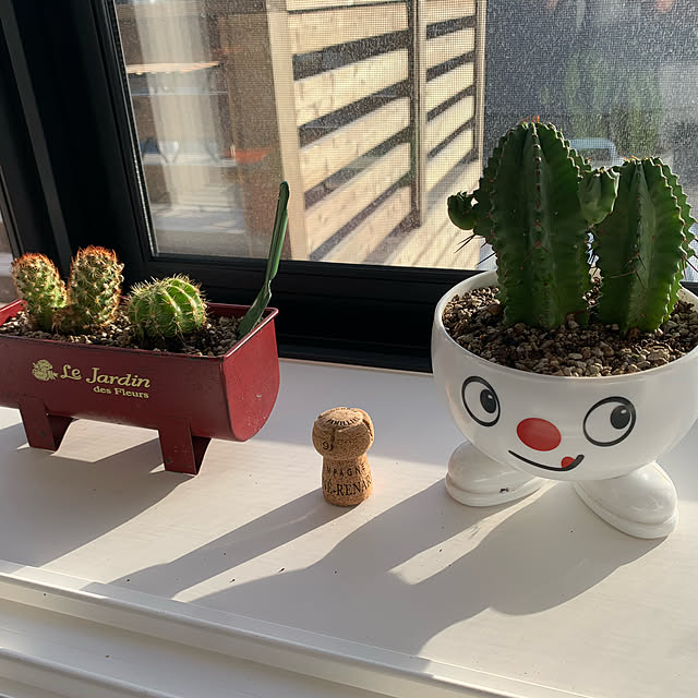 tonkoさんの部屋