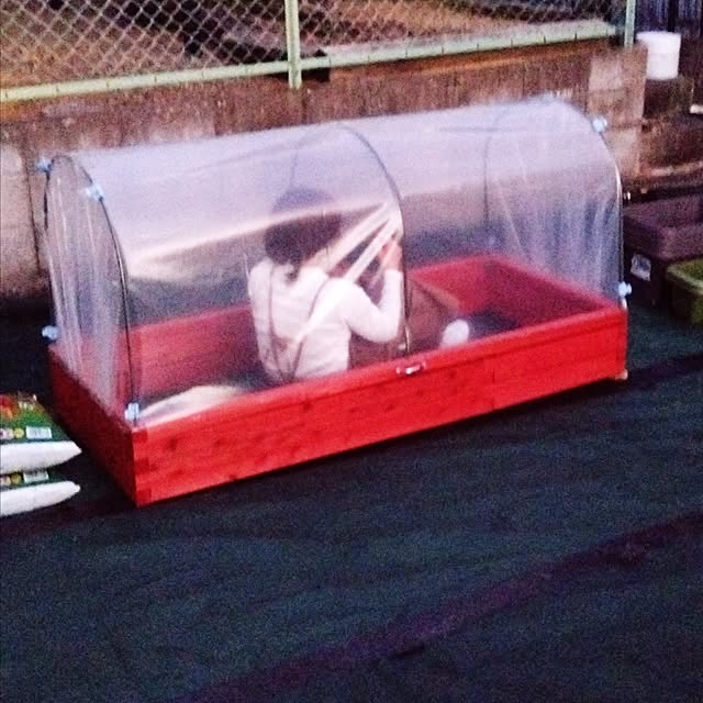 MIPORINNさんの実例写真