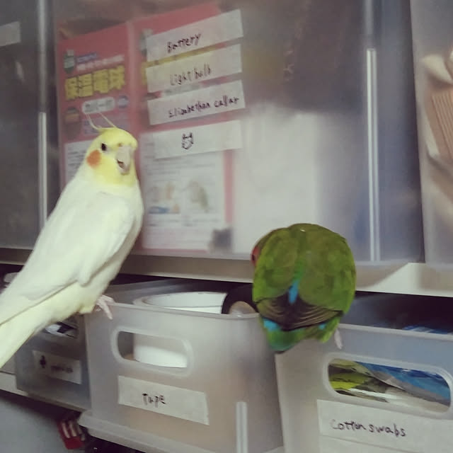 toratanさんの実例写真