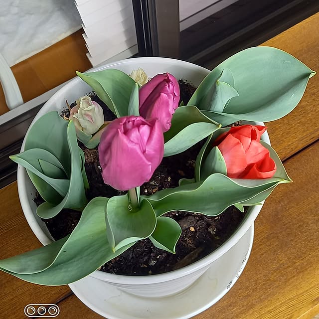 hakata-baさんの実例写真