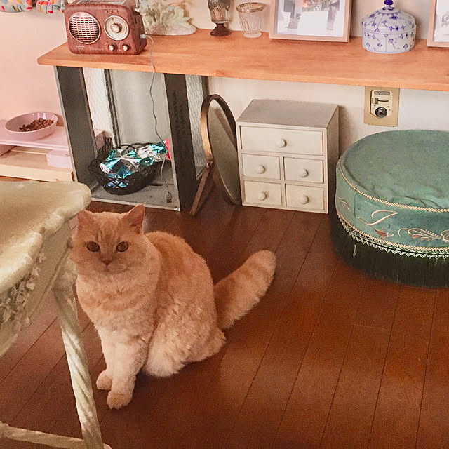 naokoさんの実例写真